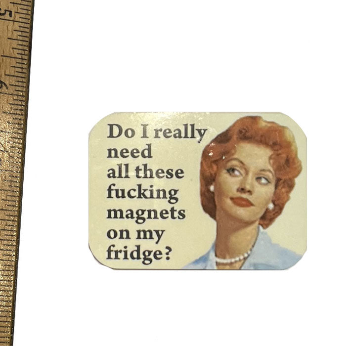 Do I Really Need All These F* Magnets Magnet