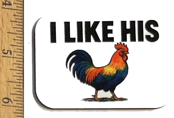 I Like HIs C Magnet