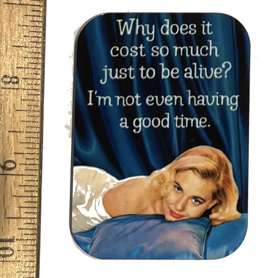 Why Does Life Cost So Much Magnet