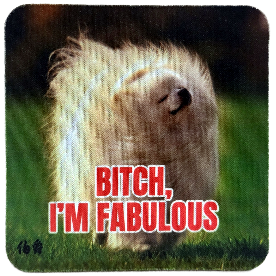 Fabulous Bitch Neoprene Coaster
