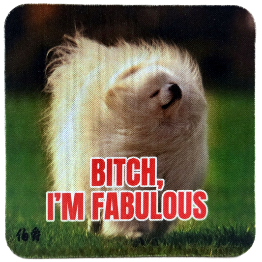 Fabulous Dog Neoprene Coaster