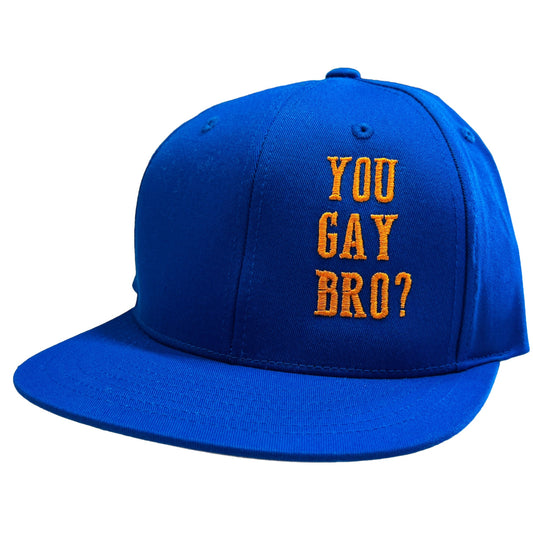 You Gay Bro Flat Bill Cap