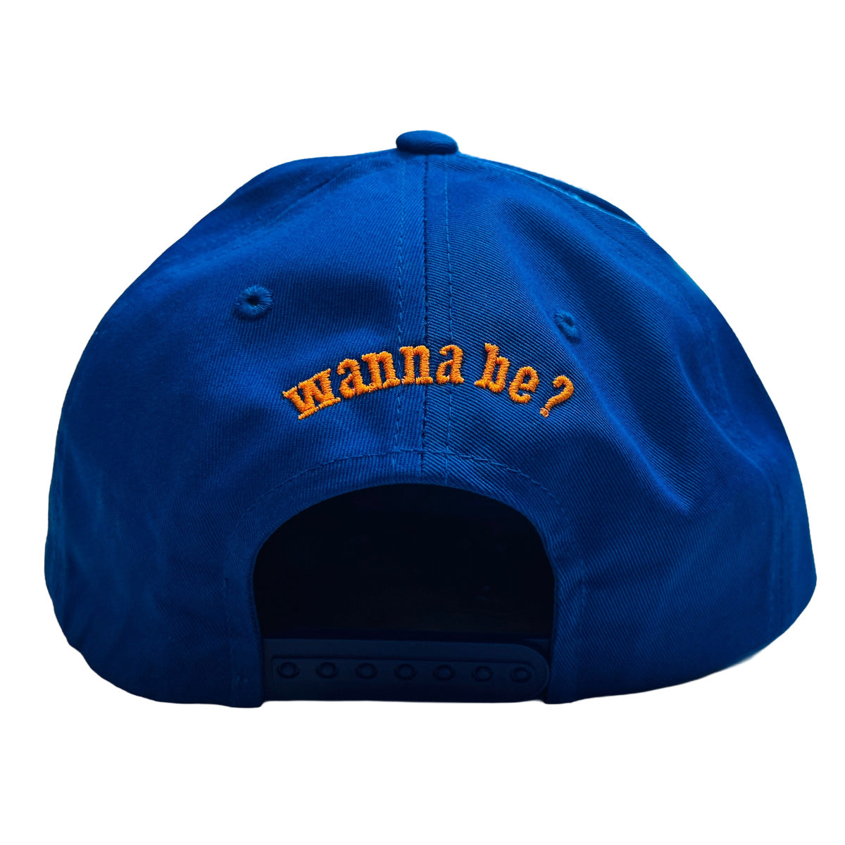 You Gay Bro Flat Bill Cap